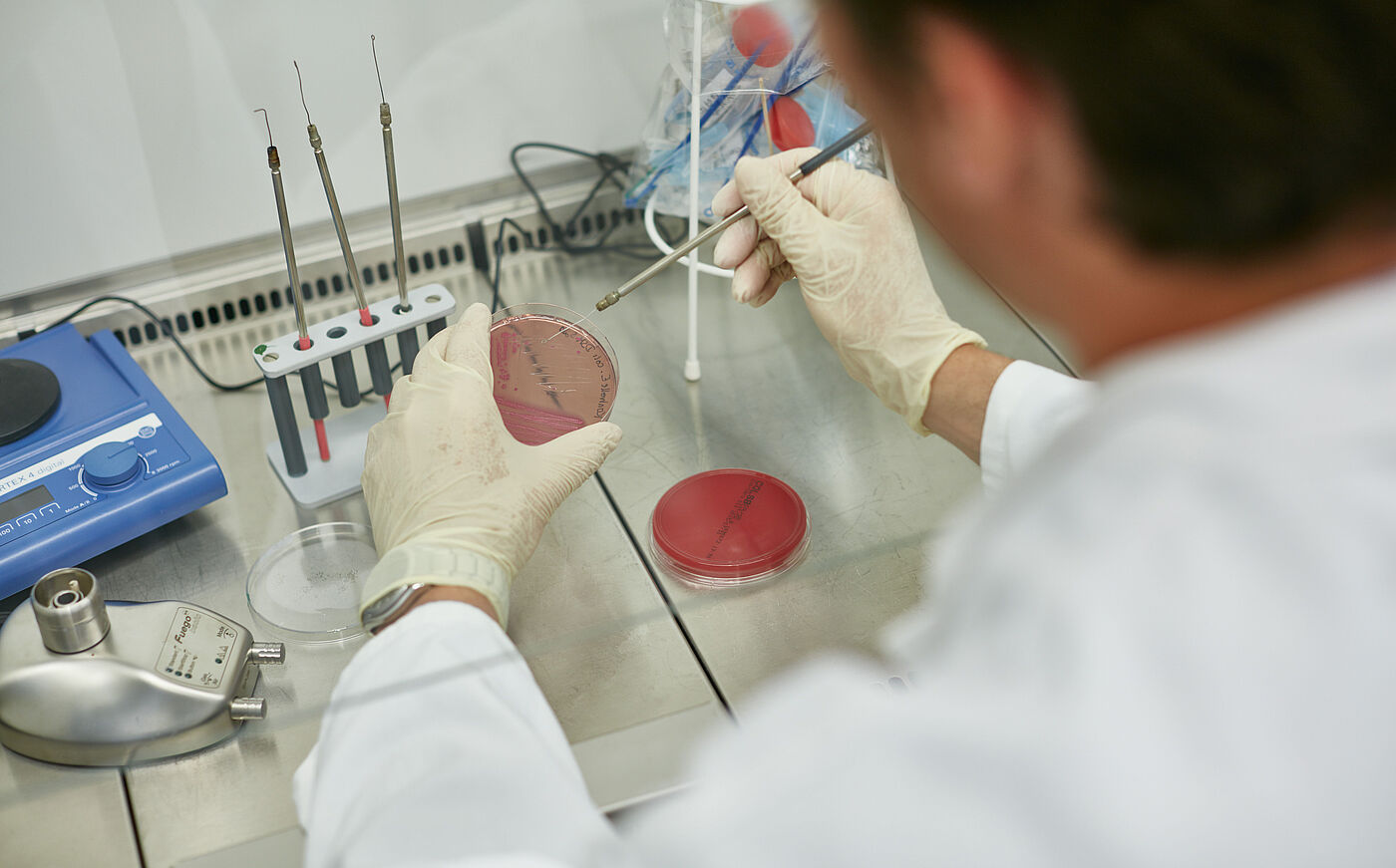 Studierender im Labor an der Tierärztlichen Hochschule Hannover