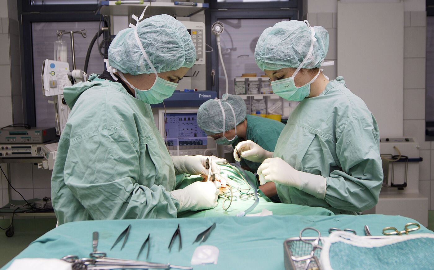 Studierende der Tierärztlichen Hochschule Hannover im Operationssaal