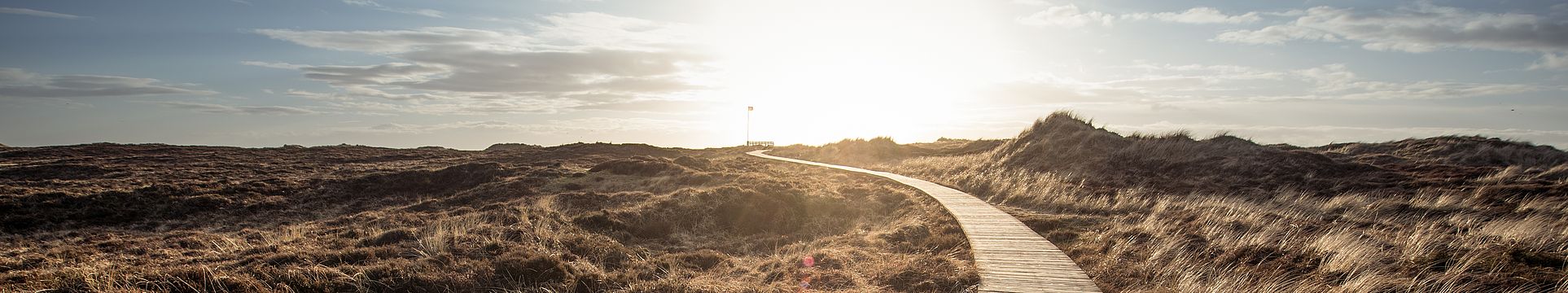 Ein Bohlenweg führt durch eine Dünenlandschaft zum Horizont