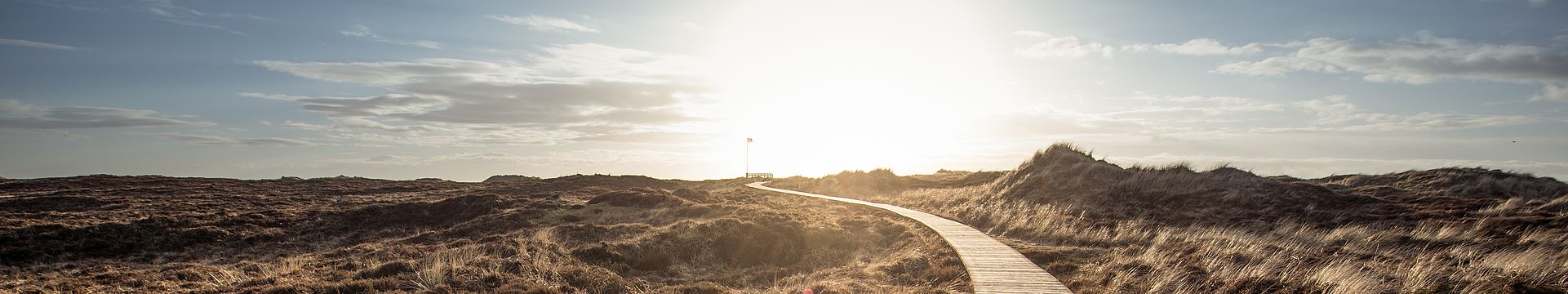 Ein Bohlenweg führt durch eine Dünenlandschaft zum Horizont
