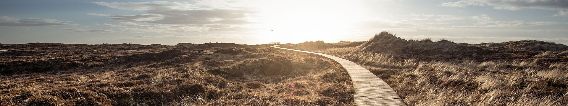 Ein Bohlenweg führt durch eine Dünenlandschaft zum Horizont