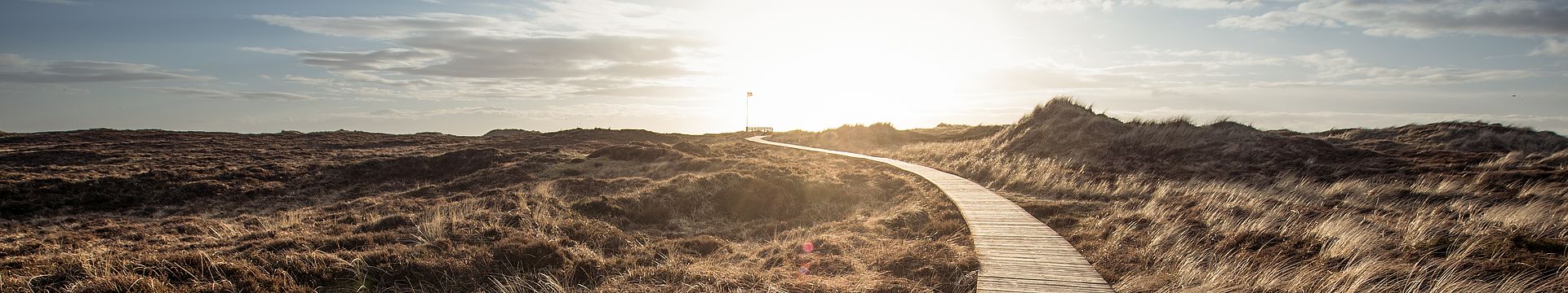 Ein Bohlenweg führt durch eine Dünenlandschaft zum Horizont