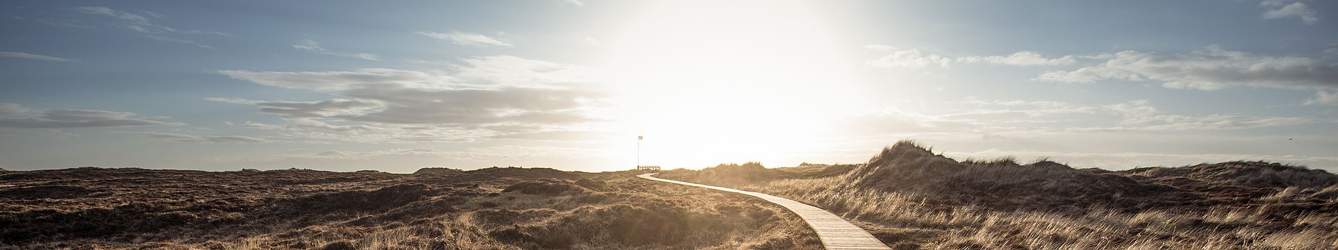 Ein Bohlenweg führt durch eine Dünenlandschaft zum Horizont
