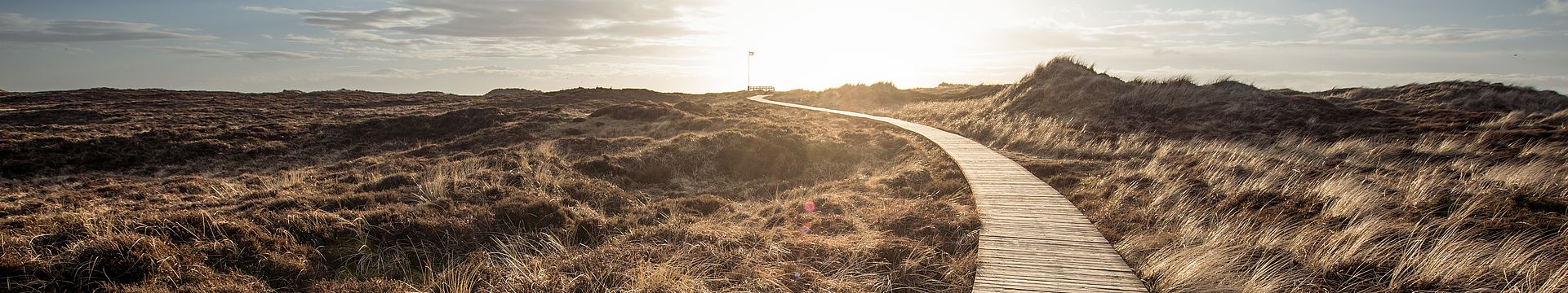 Ein Bohlenweg führt durch eine Dünenlandschaft zum Horizont