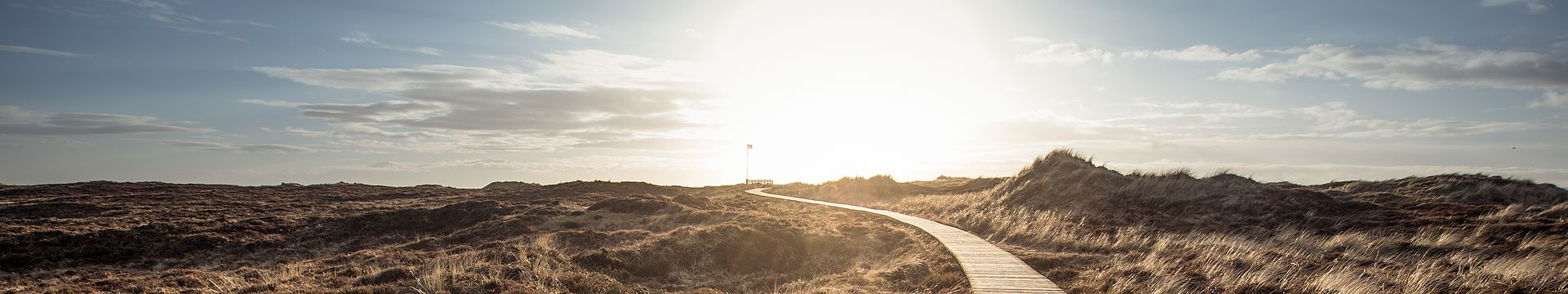 Ein Bohlenweg führt durch eine Dünenlandschaft zum Horizont