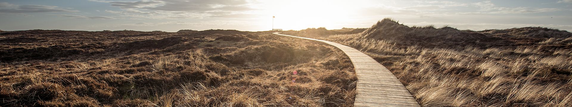 Ein Bohlenweg führt durch eine Dünenlandschaft zum Horizont