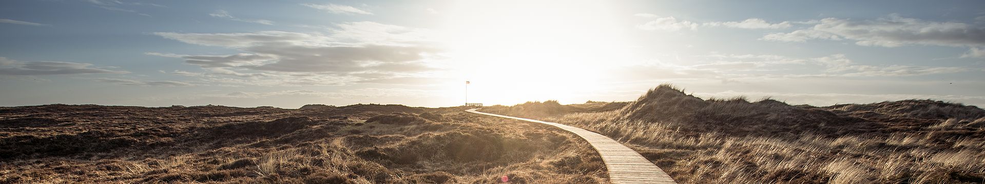 Ein Bohlenweg führt durch eine Dünenlandschaft zum Horizont
