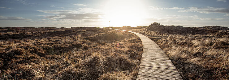Ein Bohlenweg führt durch eine Dünenlandschaft zum Horizont
