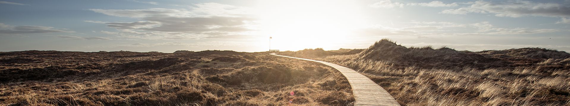 Ein Bohlenweg führt durch eine Dünenlandschaft zum Horizont
