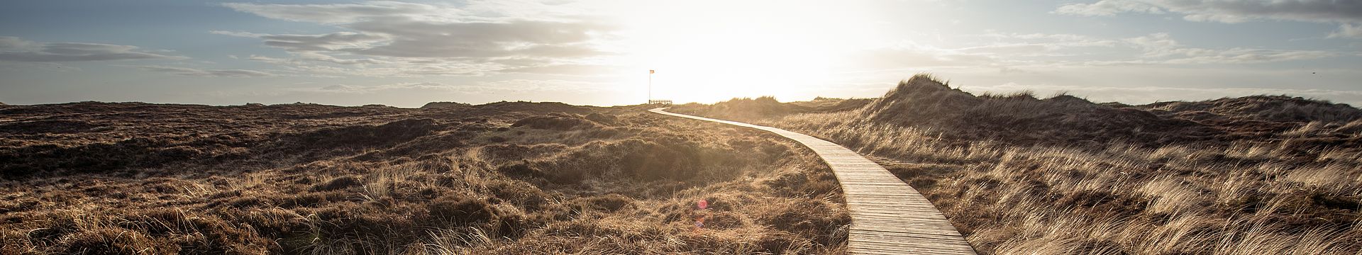 Ein Bohlenweg führt durch eine Dünenlandschaft zum Horizont
