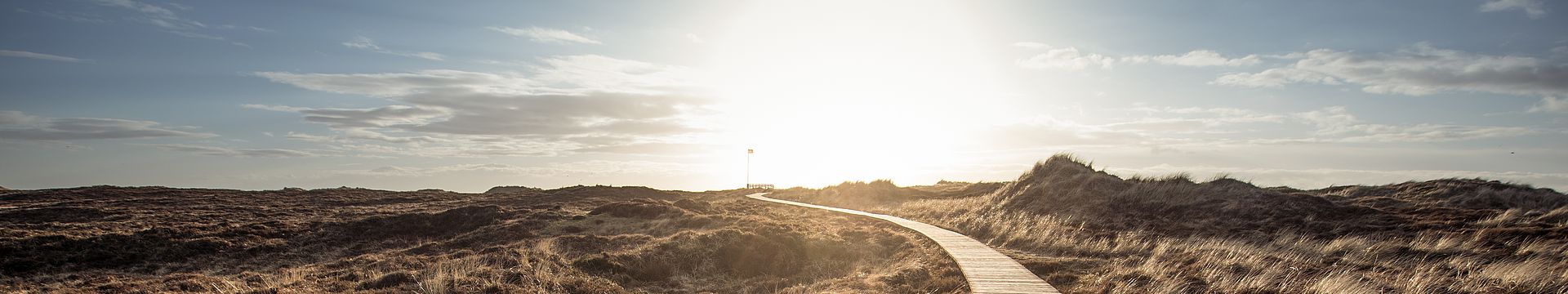 Ein Bohlenweg führt durch eine Dünenlandschaft zum Horizont