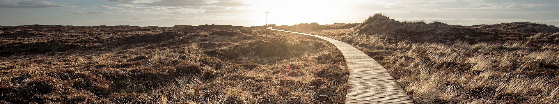 Ein Bohlenweg führt durch eine Dünenlandschaft zum Horizont