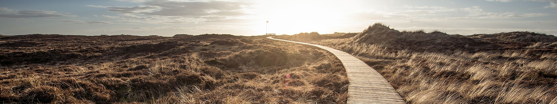 Ein Bohlenweg führt durch eine Dünenlandschaft zum Horizont