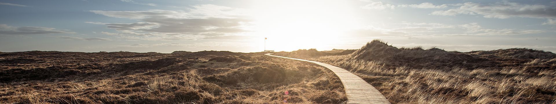 Ein Bohlenweg führt durch eine Dünenlandschaft zum Horizont