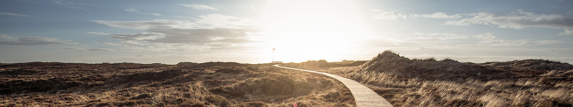 Ein Bohlenweg führt durch eine Dünenlandschaft zum Horizont