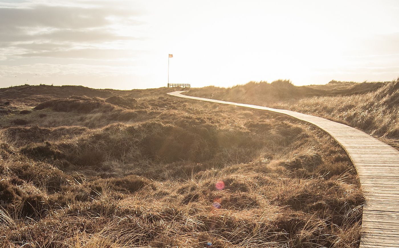 Ein Bohlenweg führt durch eine Dünenlandschaft zum Horizont