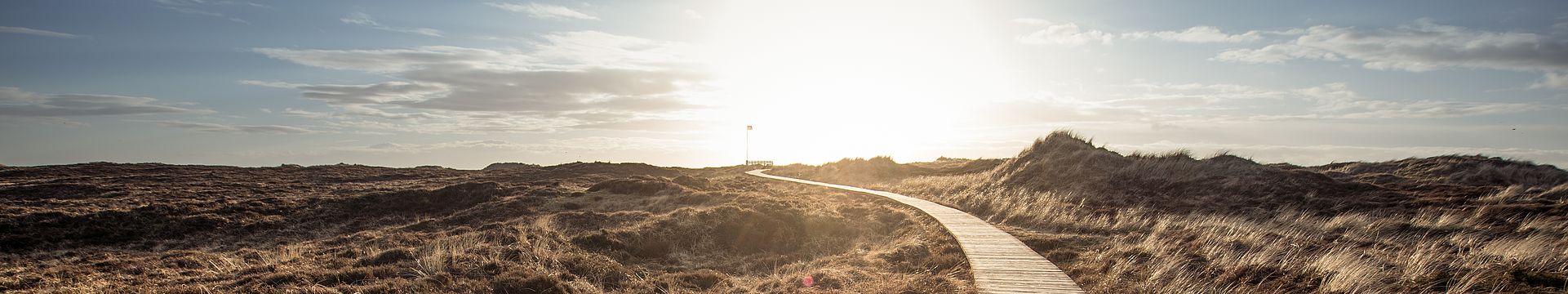 Ein Bohlenweg führt durch eine Dünenlandschaft zum Horizont