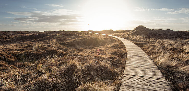 Ein Bohlenweg führt durch eine Dünenlandschaft zum Horizont