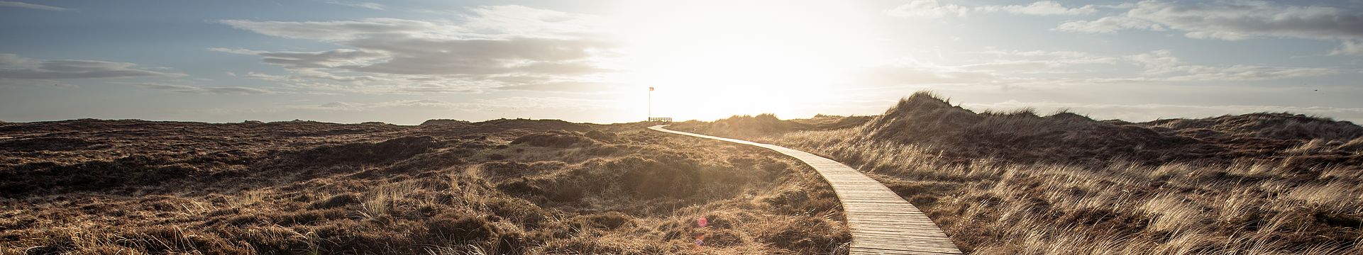 Ein Bohlenweg führt durch eine Dünenlandschaft zum Horizont