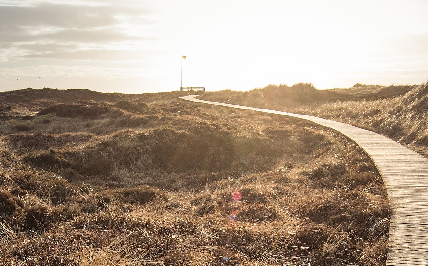 Ein Bohlenweg führt durch eine Dünenlandschaft zum Horizont
