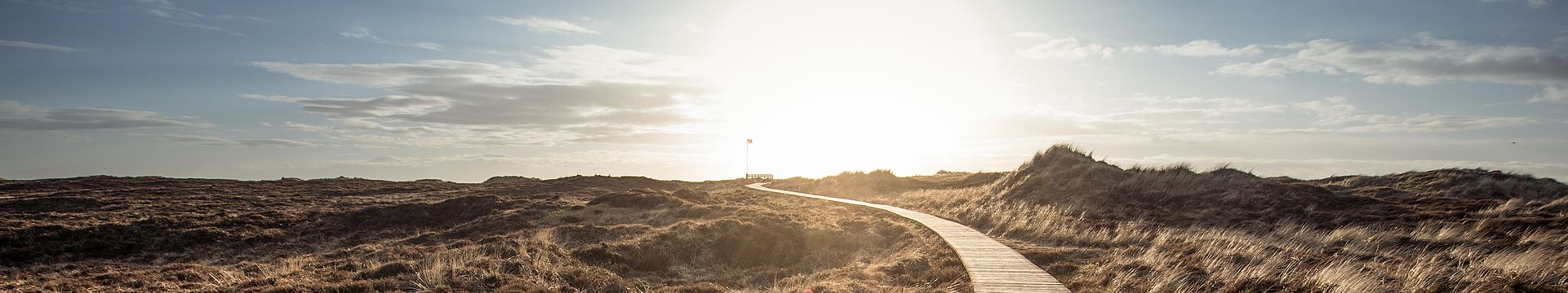 Ein Bohlenweg führt durch eine Dünenlandschaft zum Horizont