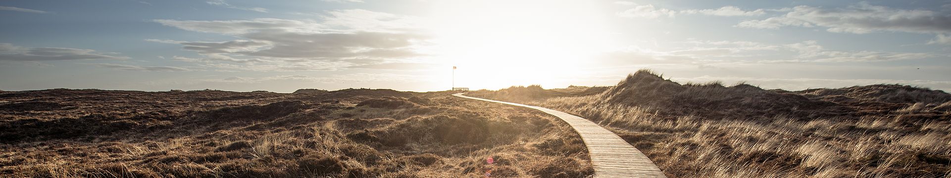 Ein Bohlenweg führt durch eine Dünenlandschaft zum Horizont