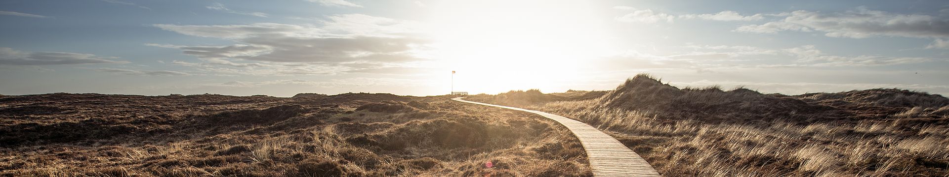 Ein Bohlenweg führt durch eine Dünenlandschaft zum Horizont