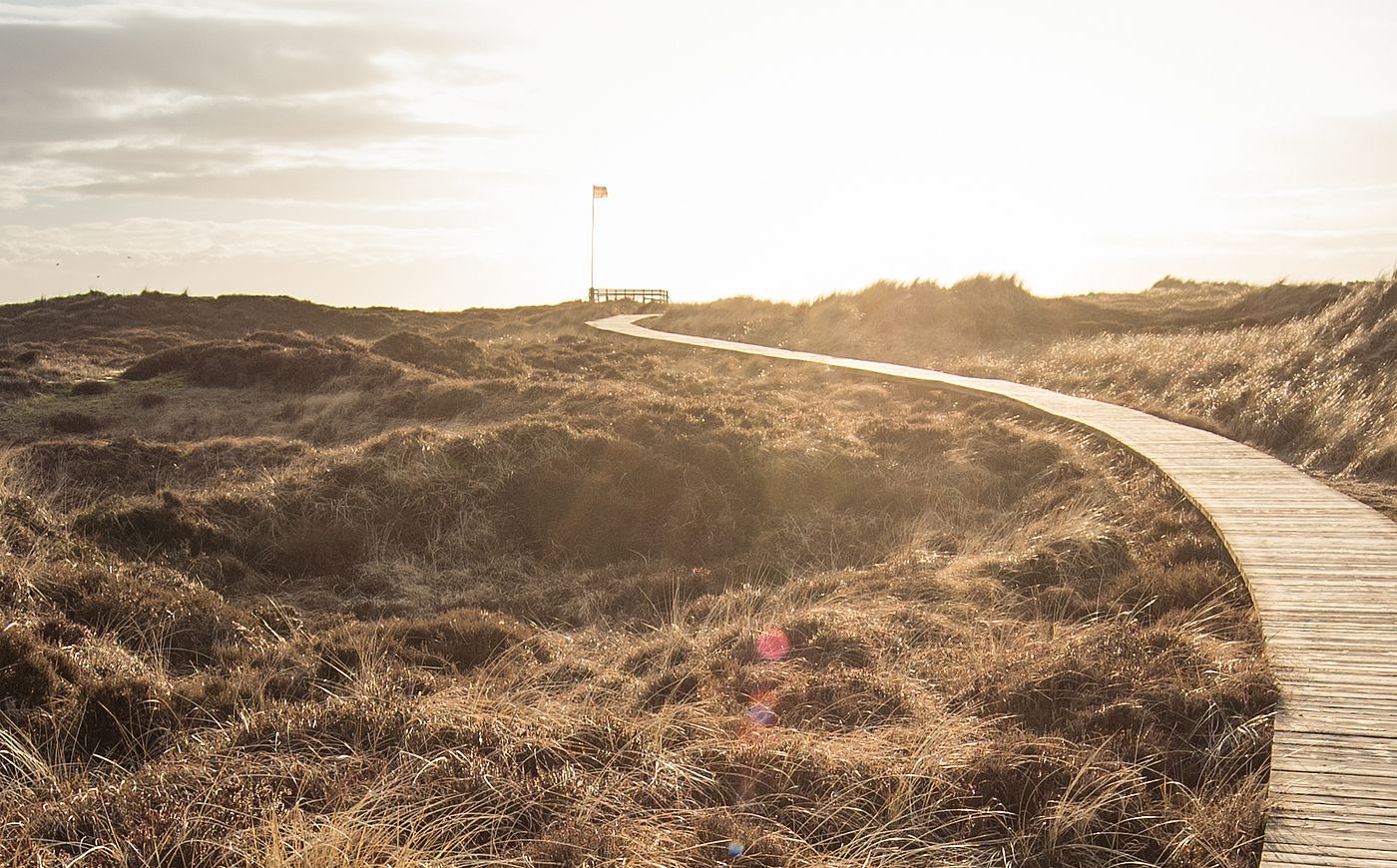 Ein Bohlenweg führt durch eine Dünenlandschaft zum Horizont