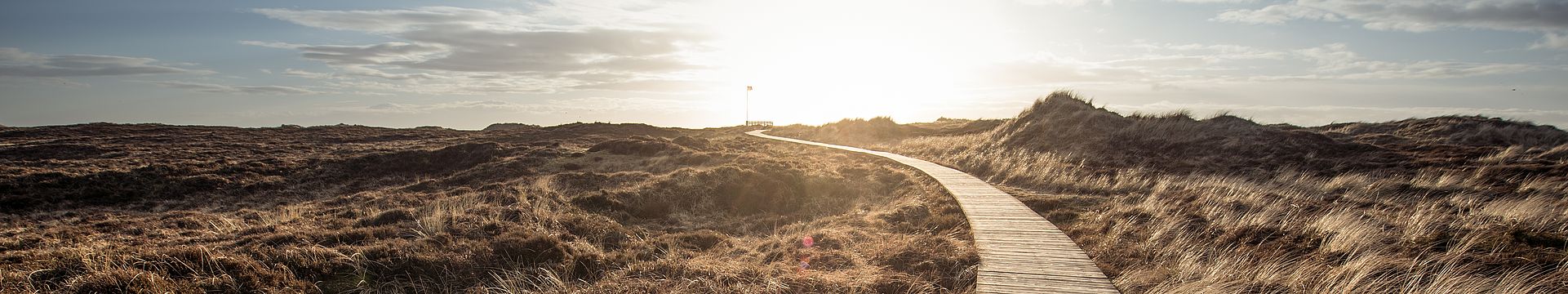 Ein Bohlenweg führt durch eine Dünenlandschaft zum Horizont