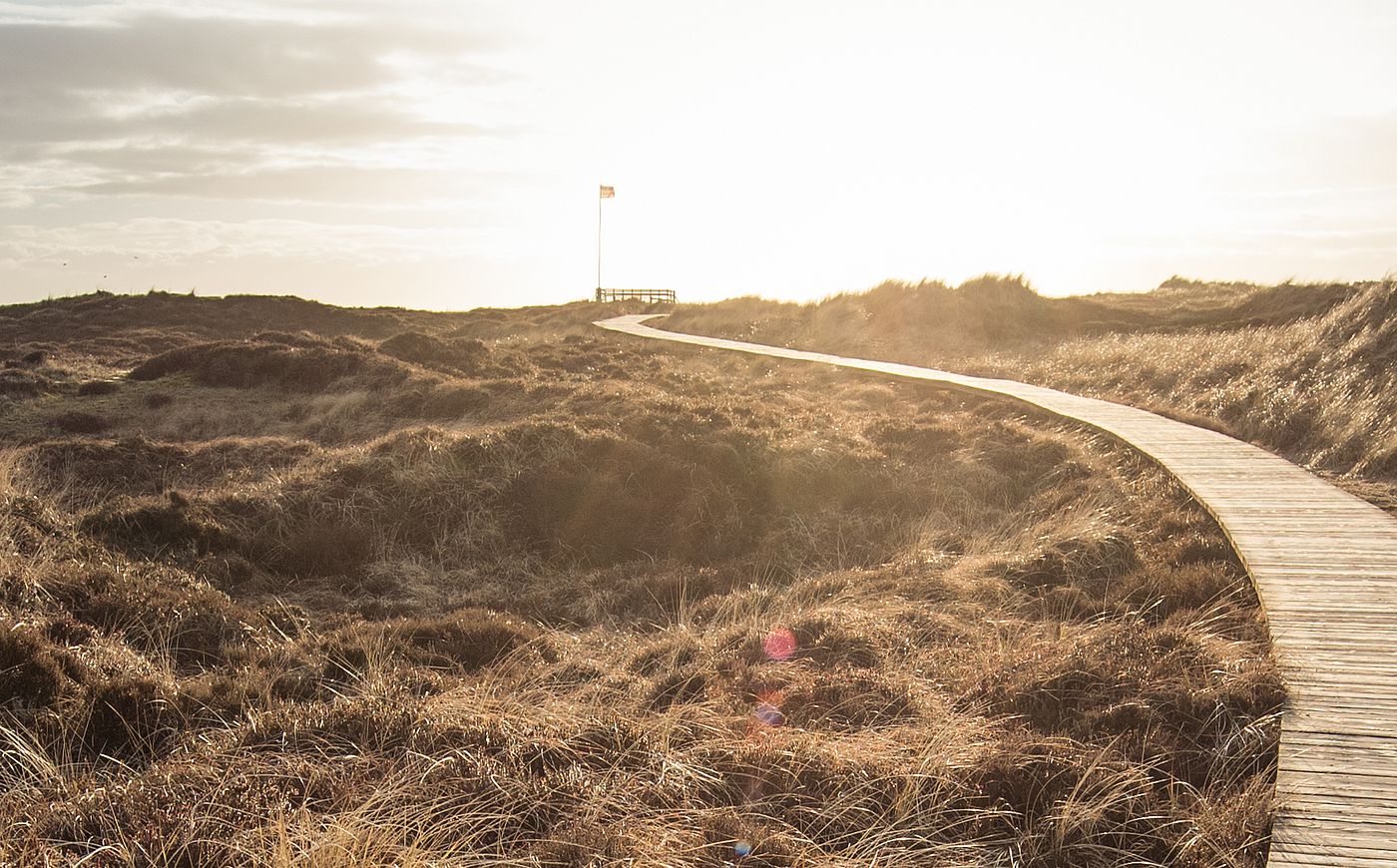 Ein Bohlenweg führt durch eine Dünenlandschaft zum Horizont