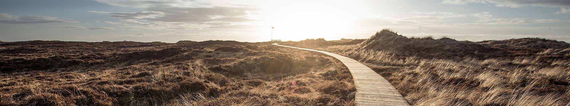 Ein Bohlenweg führt durch eine Dünenlandschaft zum Horizont