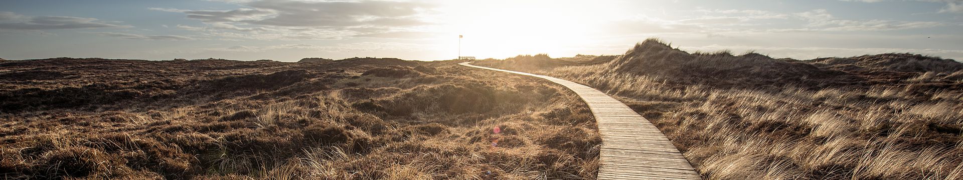 Ein Bohlenweg führt durch eine Dünenlandschaft zum Horizont