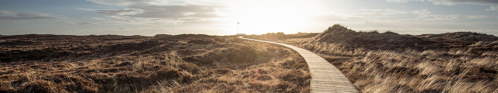 Ein Bohlenweg führt durch eine Dünenlandschaft zum Horizont