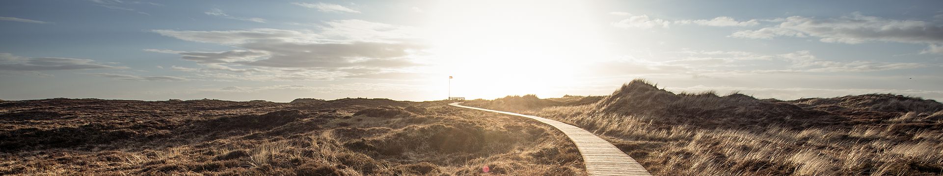 Ein Bohlenweg führt durch eine Dünenlandschaft zum Horizont