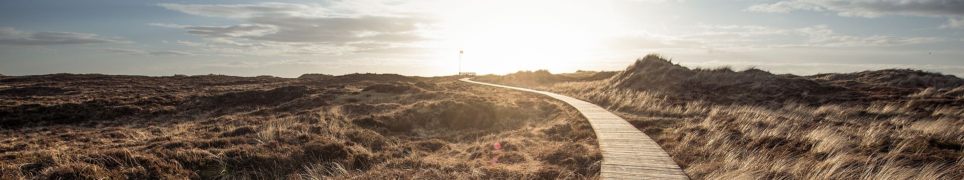 Ein Bohlenweg führt durch eine Dünenlandschaft zum Horizont