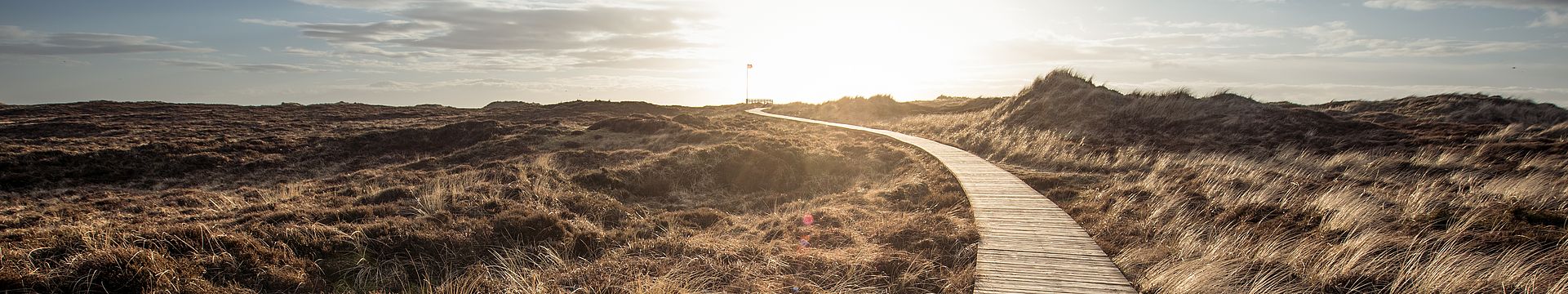 Ein Bohlenweg führt durch eine Dünenlandschaft zum Horizont