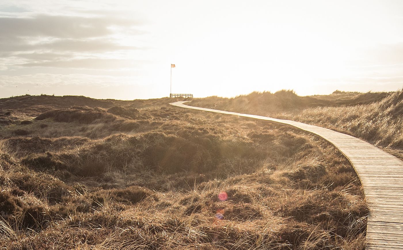 Ein Bohlenweg führt durch eine Dünenlandschaft zum Horizont