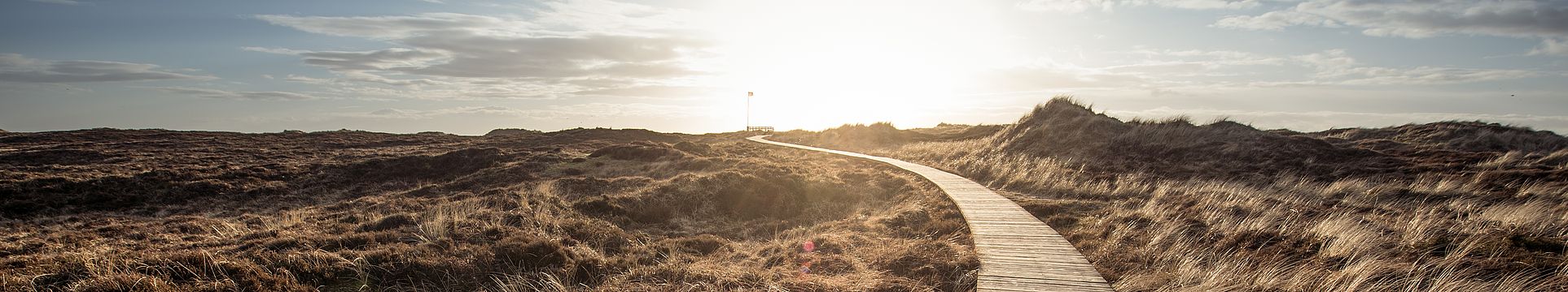 Ein Bohlenweg führt durch eine Dünenlandschaft zum Horizont