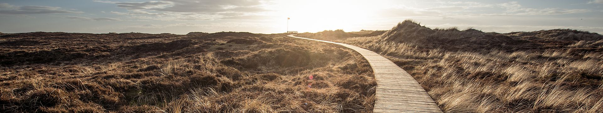 Ein Bohlenweg führt durch eine Dünenlandschaft zum Horizont