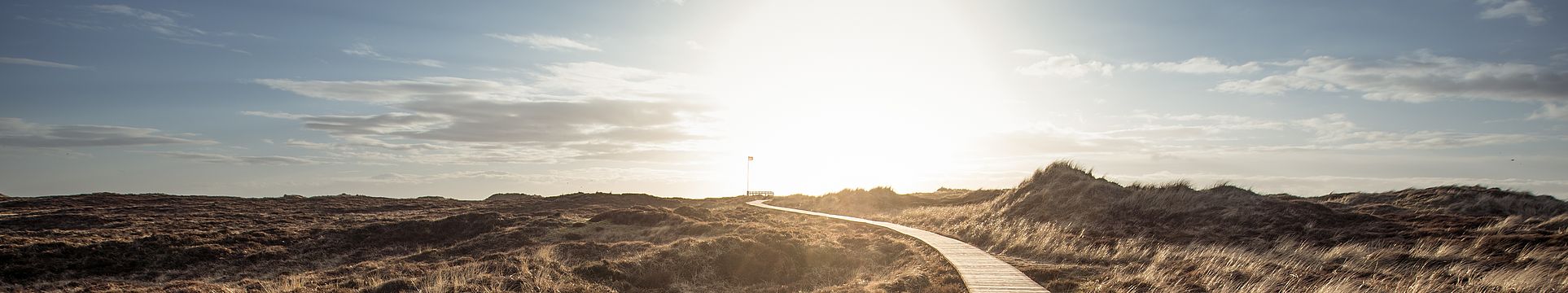 Ein Bohlenweg führt durch eine Dünenlandschaft zum Horizont