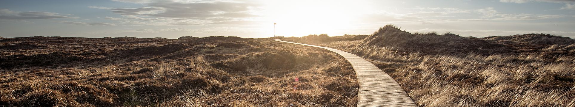 Ein Bohlenweg führt durch eine Dünenlandschaft zum Horizont