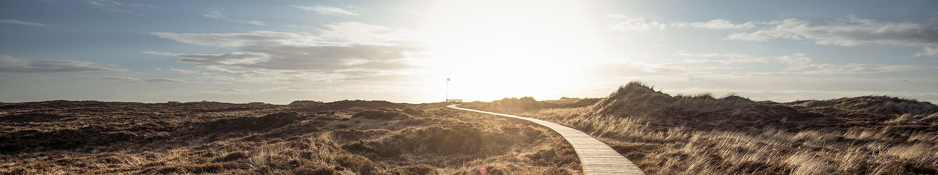 Ein Bohlenweg führt durch eine Dünenlandschaft zum Horizont