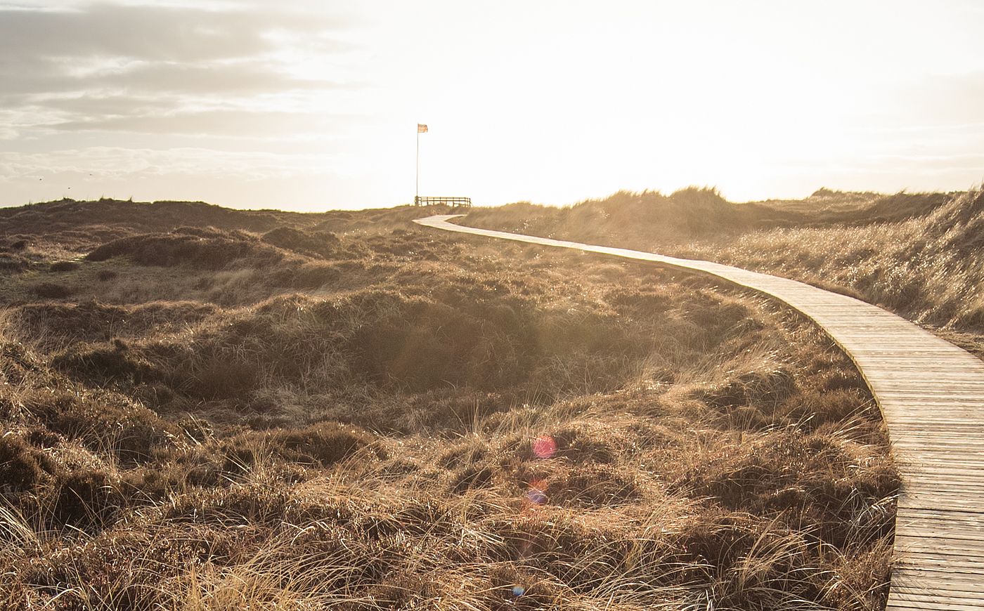 Ein Bohlenweg führt durch eine Dünenlandschaft zum Horizont