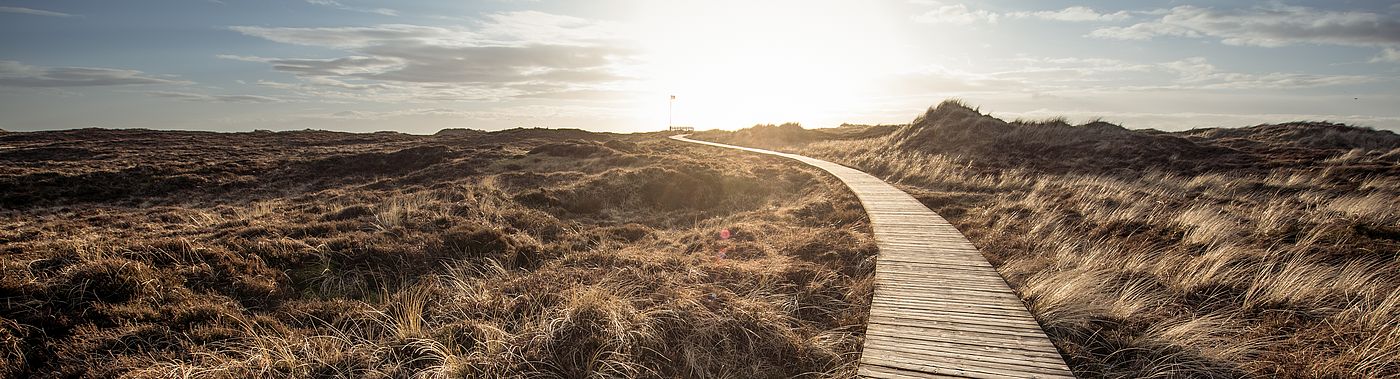 Ein Bohlenweg führt durch eine Dünenlandschaft zum Horizont