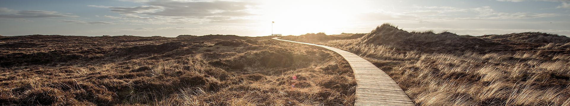 Ein Bohlenweg führt durch eine Dünenlandschaft zum Horizont