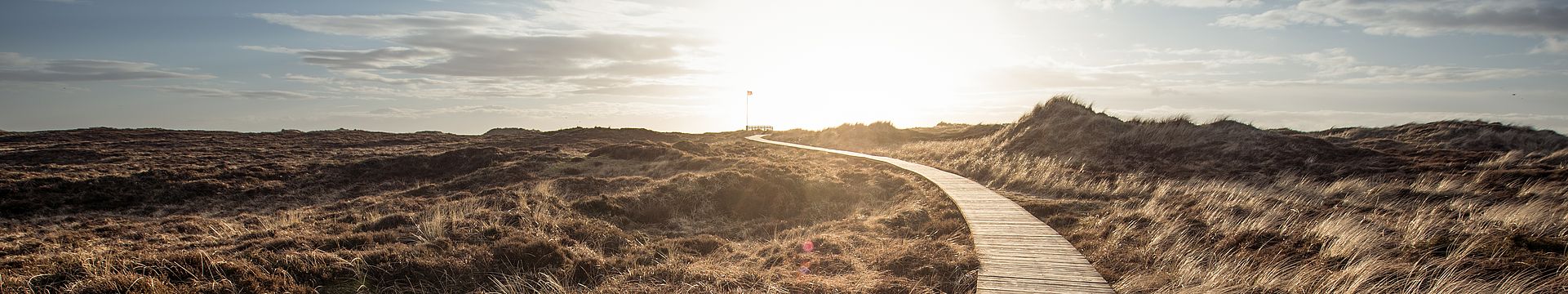 Ein Bohlenweg führt durch eine Dünenlandschaft zum Horizont