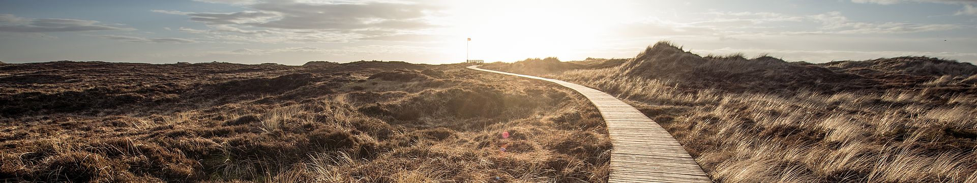 Ein Bohlenweg führt durch eine Dünenlandschaft zum Horizont