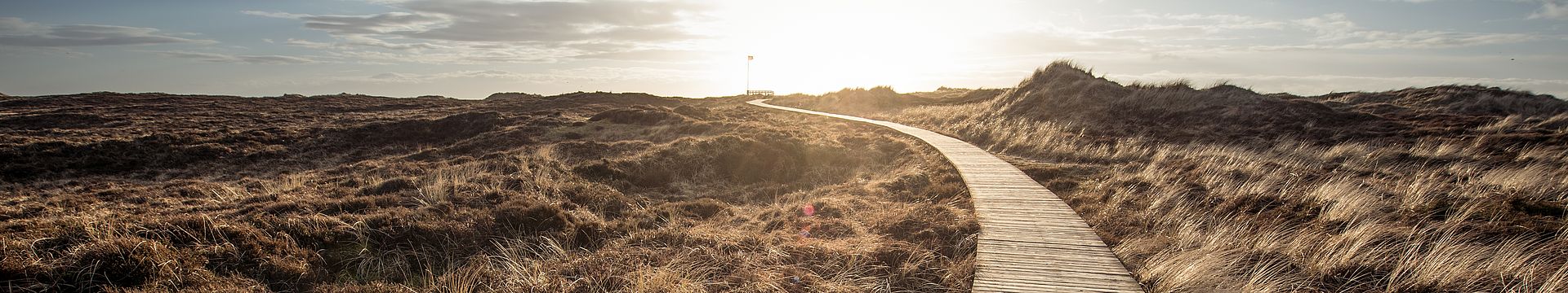 Ein Bohlenweg führt durch eine Dünenlandschaft zum Horizont