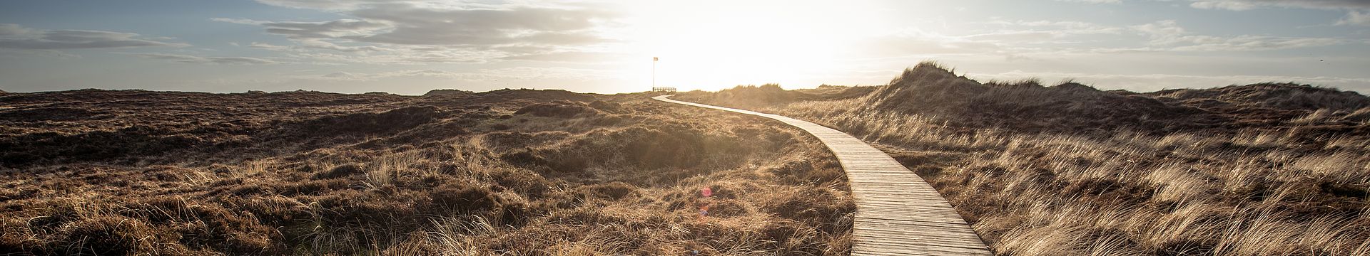 Ein Bohlenweg führt durch eine Dünenlandschaft zum Horizont