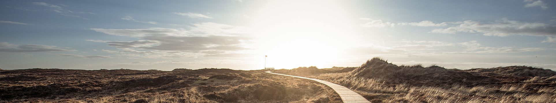Ein Bohlenweg führt durch eine Dünenlandschaft zum Horizont
